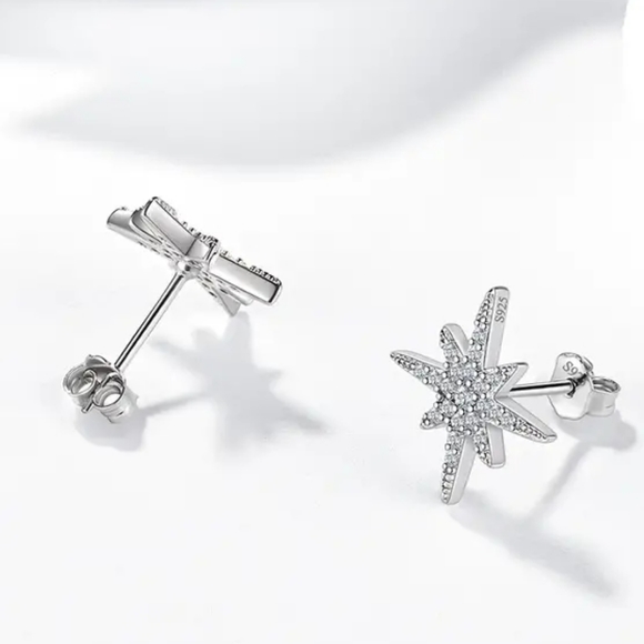 .2cttw Moissanite "Northern Star" ⭐ Studded Earrings - Picture 4 of 4